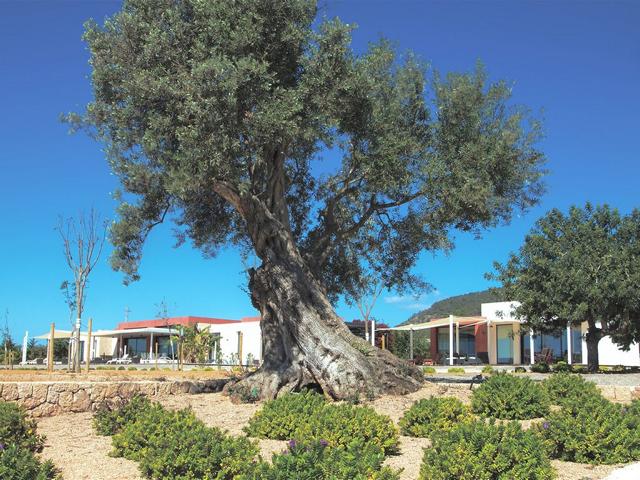 Exclusieve prive villa met uitzicht op de stad en de zee in Ibiza
