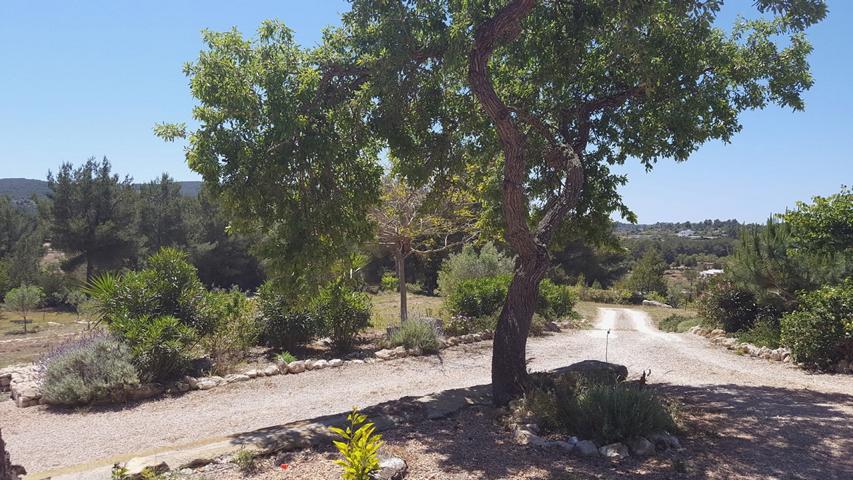 Gerenoveerde finca gelegen op een heuvel van San Rafael met uitzicht