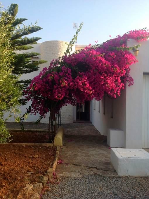 Fantastische villa met toeristische licentie te koop op 5 minuten van Ibiza-stad