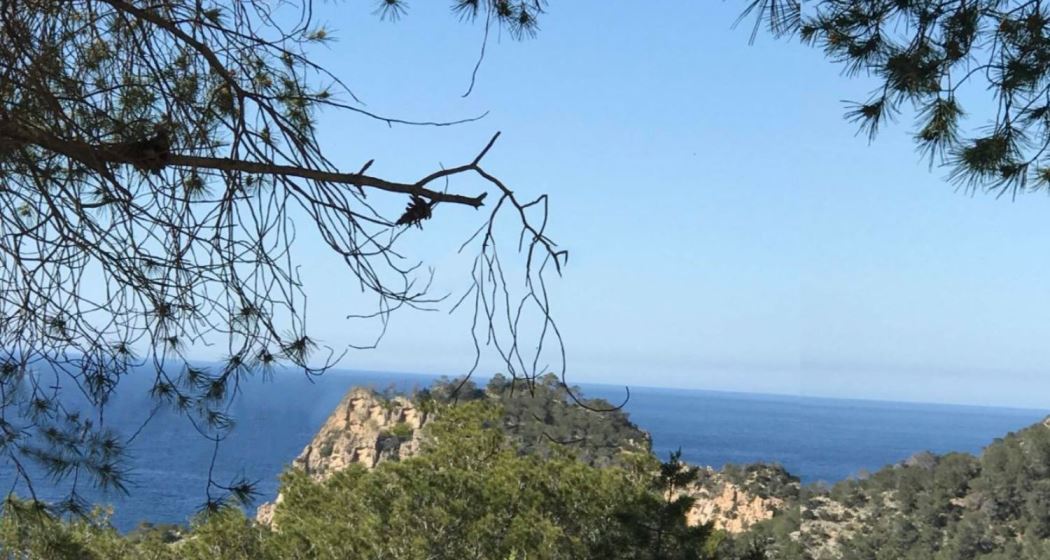 Grond met een vergunning om te bouwen in Cala Salada op Ibiza