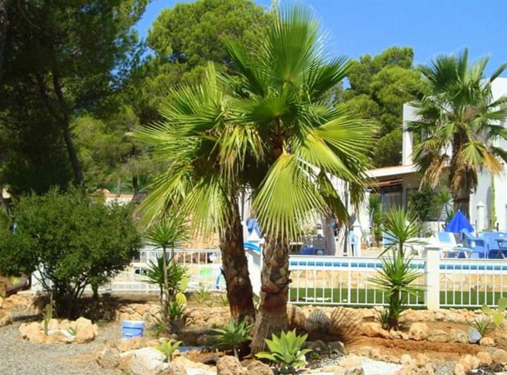 Huis met grote tuin en zwembad in Es Porroig te koop