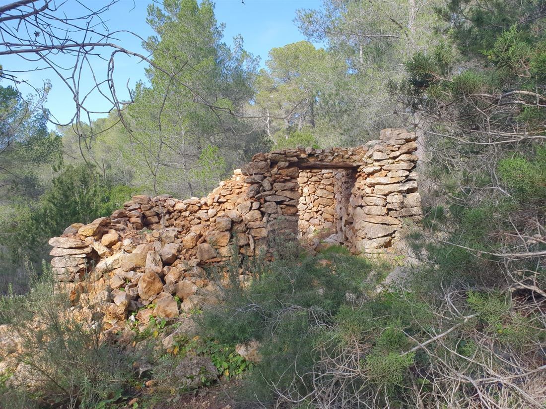 Groot stuk grond te koop in het noorden van Ibiza