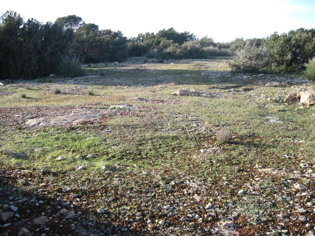 Perceel met basisproject goedgekeurd voor een eengezinswoning met zwembad in Cap de Barbaria Formentera