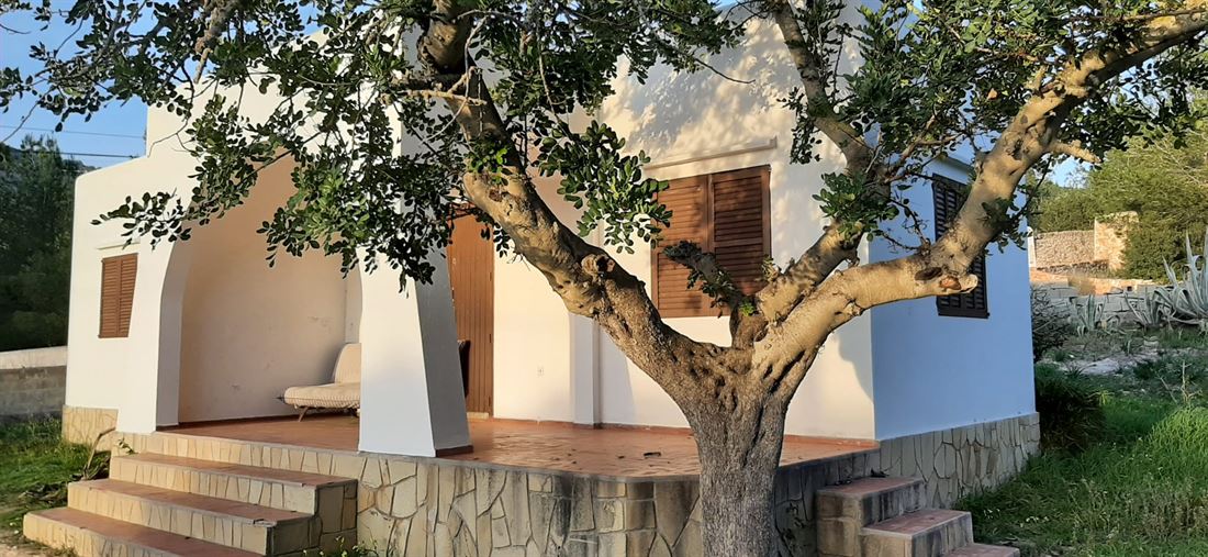 Geweldige huizen in de beste buurt van Ibiza